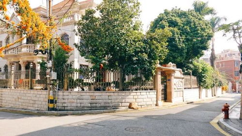 畢業(yè)旅行,來廈門找 廈門