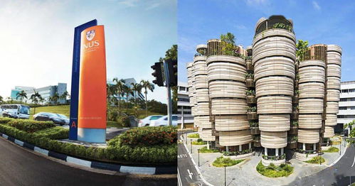 如何判斷自己是否適合考DSE？——以廈門南洋學(xué)院為例